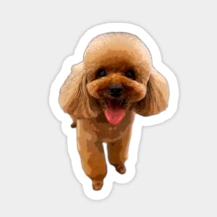 Poodle Puppy Dog Mini Toy Teacup Sticker